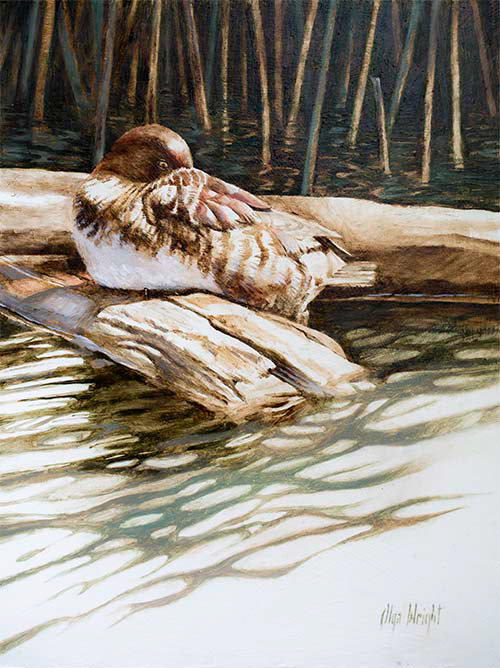 "At Rest" / Oil on Board / 16" x 12" / Available at Empty Wall Gallery