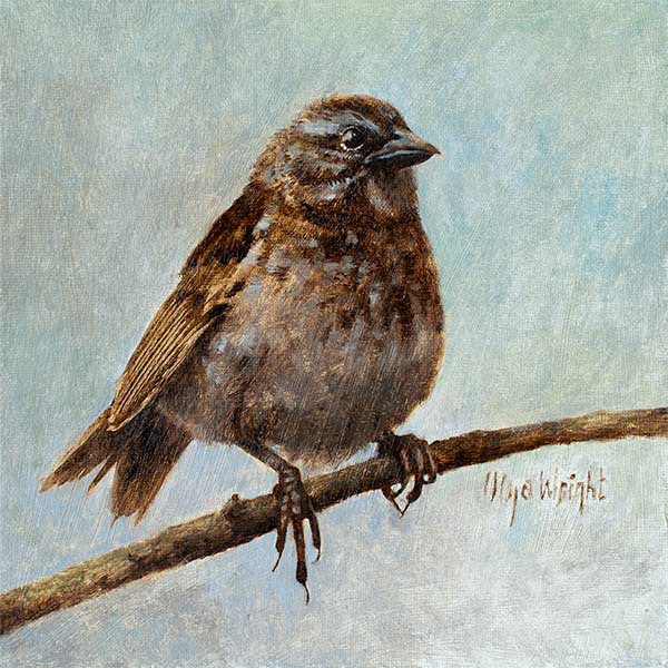 "Sparrow Time" / Oil on Canvas Panel / 8" x 8" / CAD 350$ / Framed