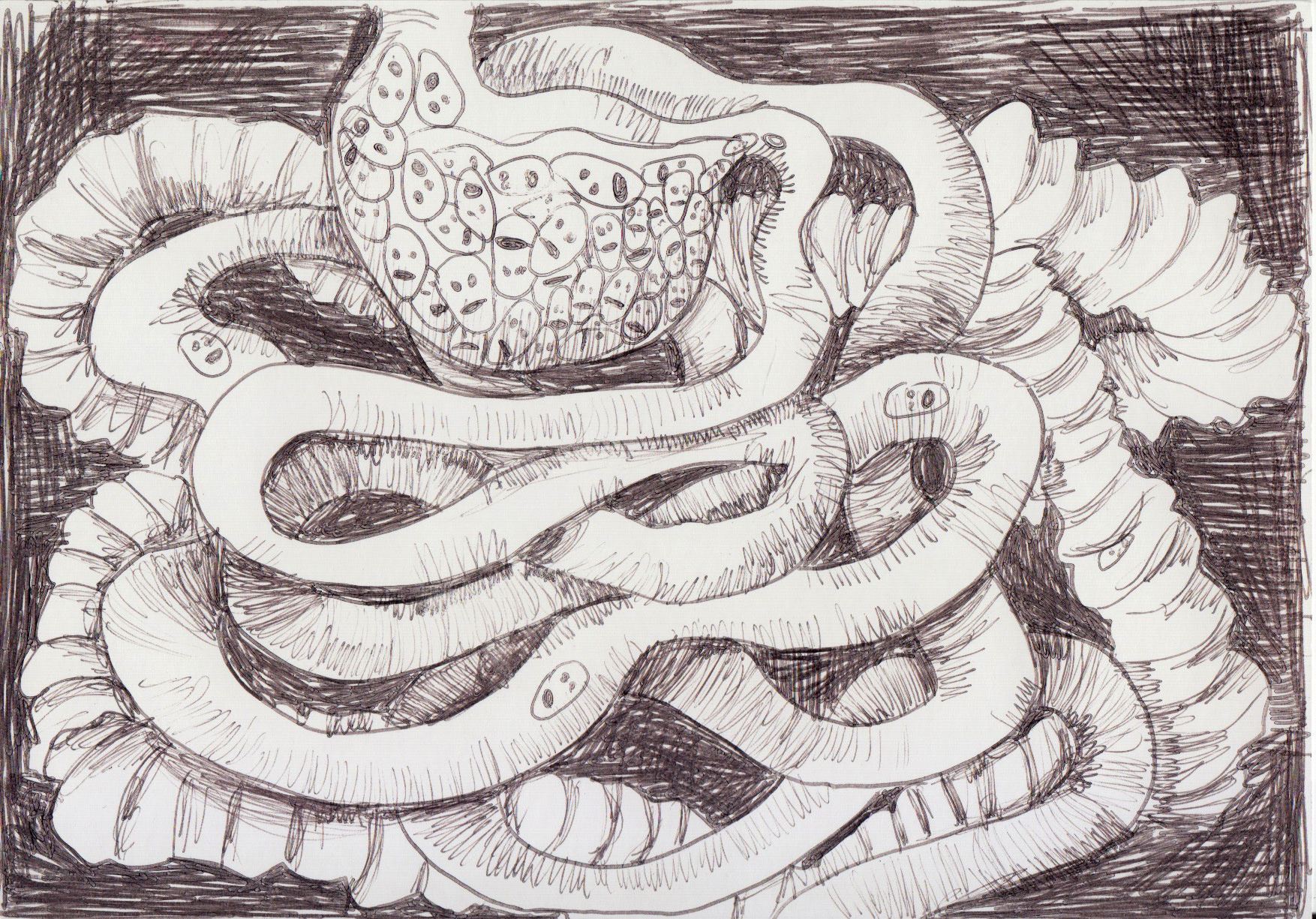 IBS - 2017, biro on postcard, A6 £10