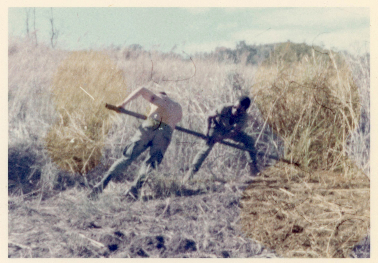 Pushing bangalore torpedos to clear grass to minimize ambush opportunities