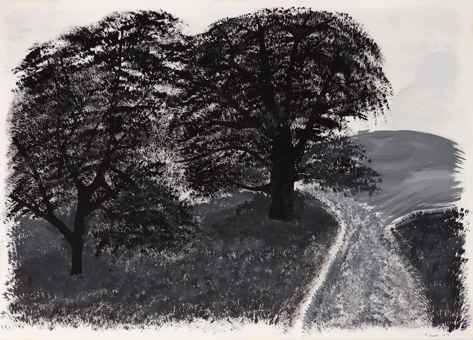 trees in the fog