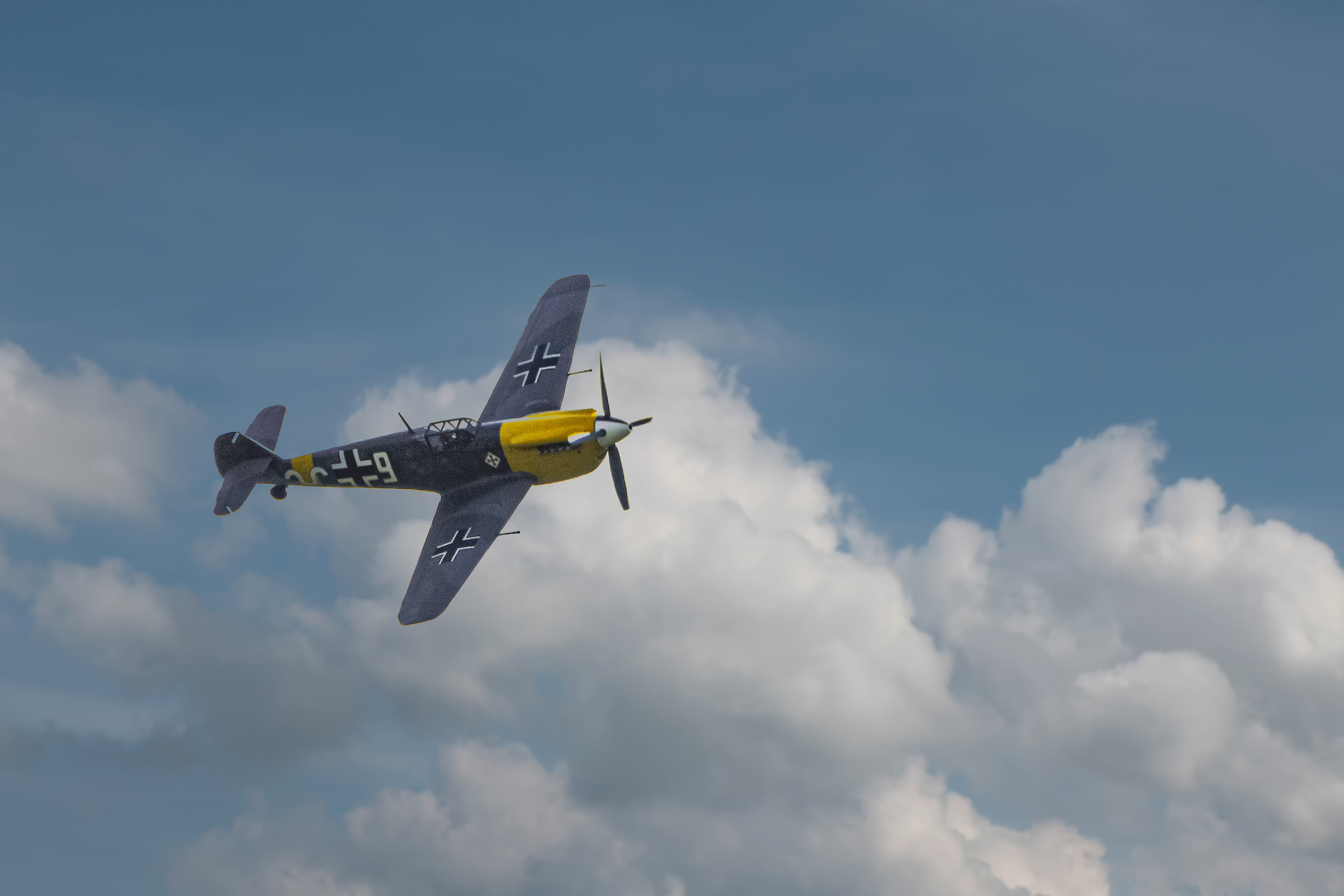 KoreaSaii - Photography - OTT 2019 -Hahnweide