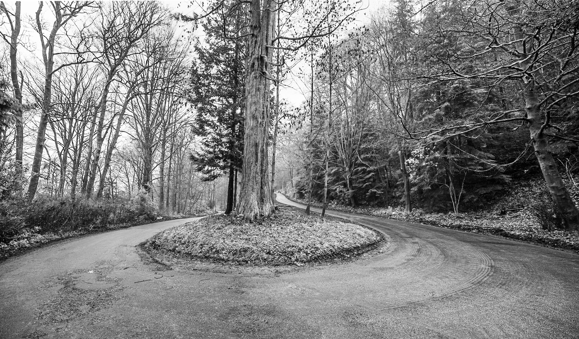 Switchback
