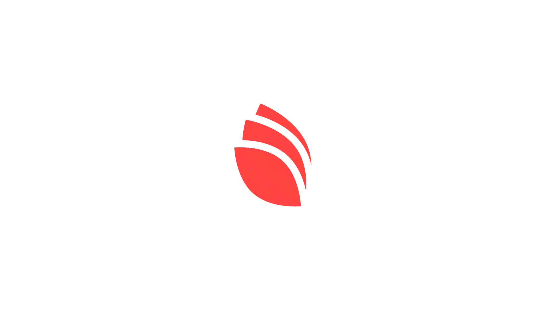 Animation of the color variations and different formats of the Nacarat logo