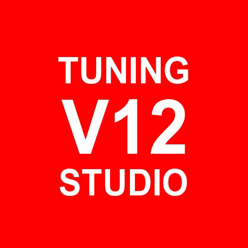 Логотип V12