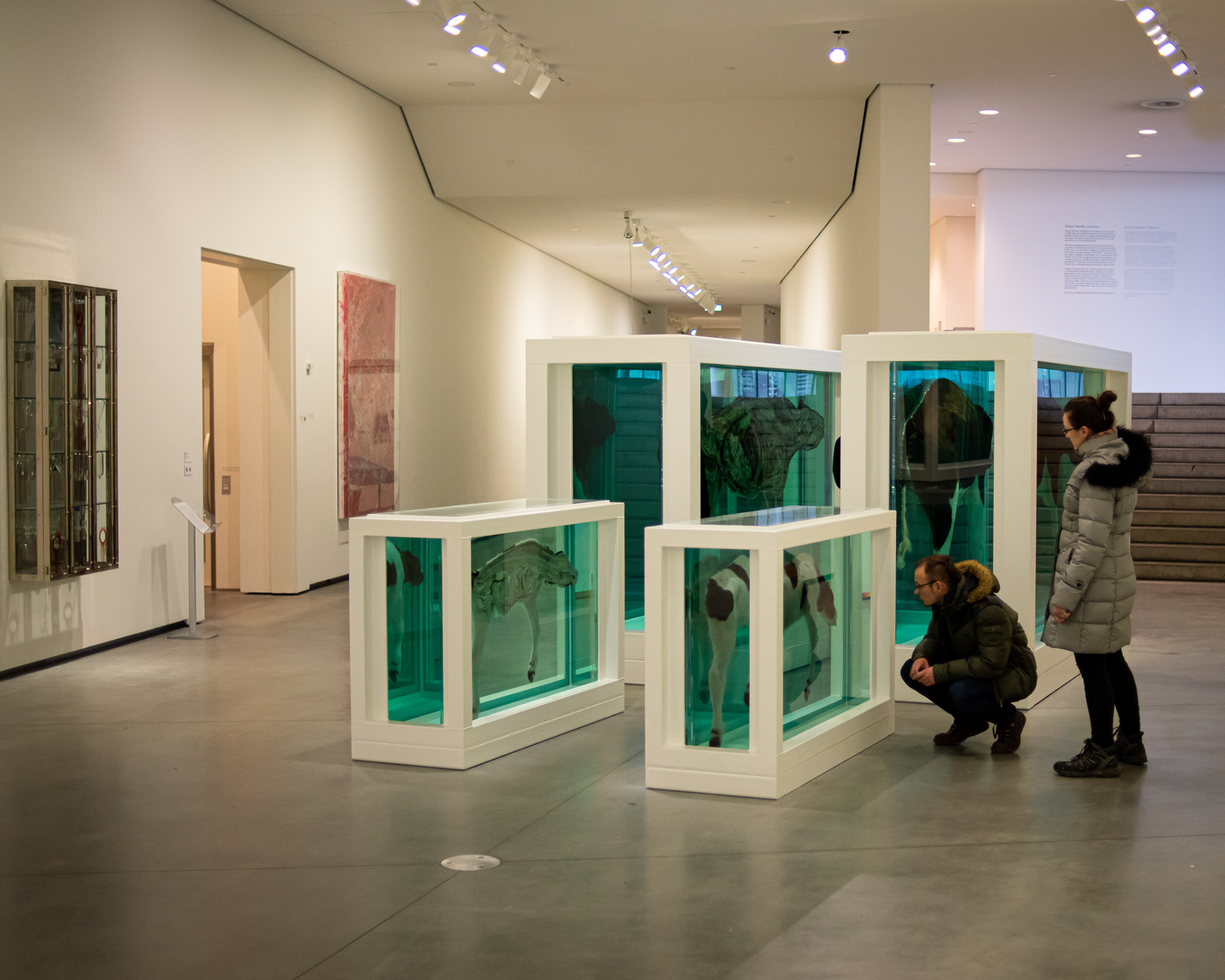 Art by Damien Hirst