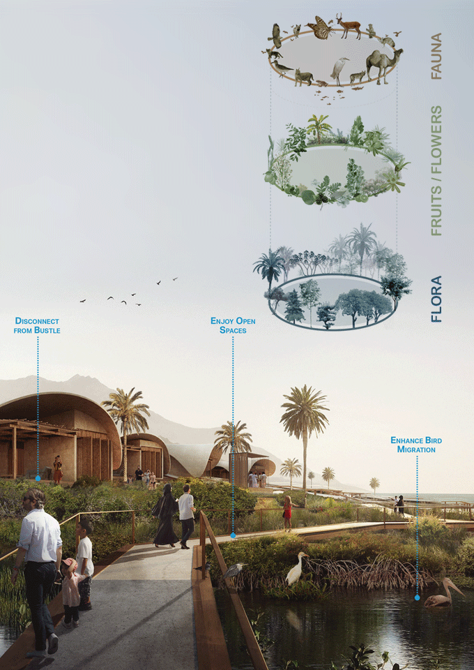 Ecological landscape design of boardwalk and pavilions along the coast. Including diagram highlighting flora and fauna.