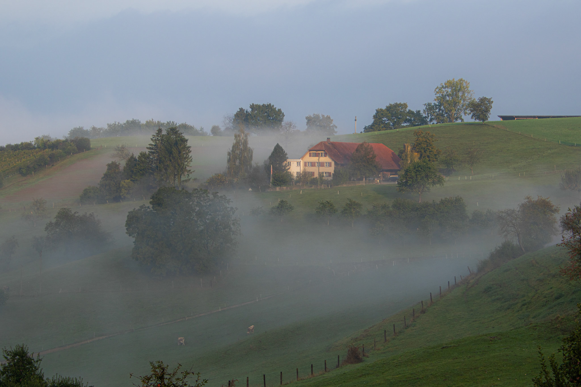 Frick in Bildern Aktuell