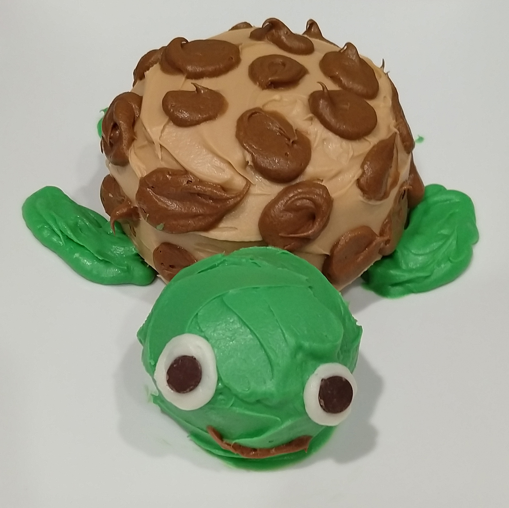 Turtle Cake