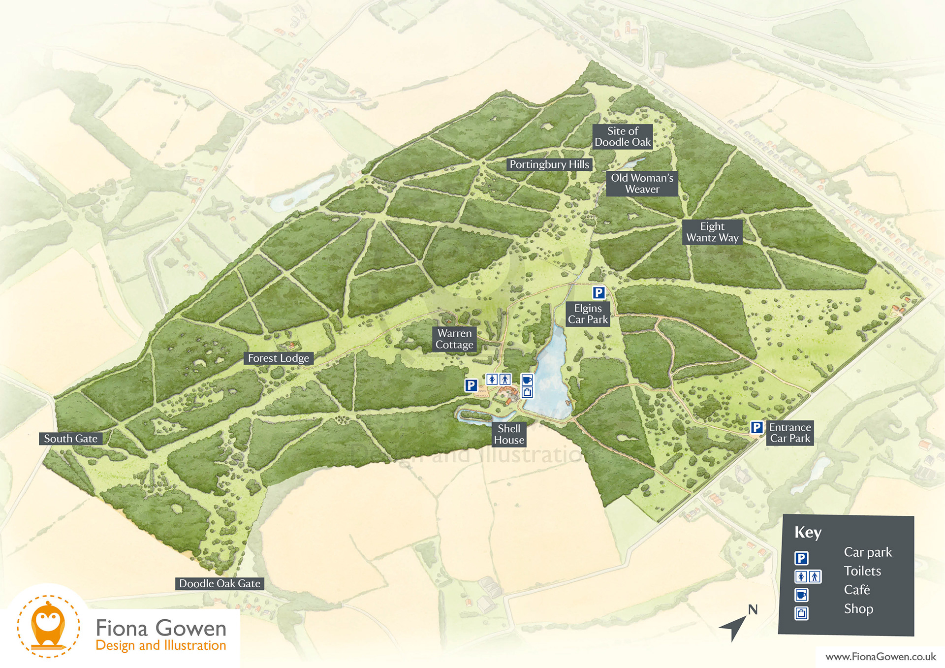 Illustrated map for National Trust property Hatfield Forest. Map illustration and design by Fiona Gowen