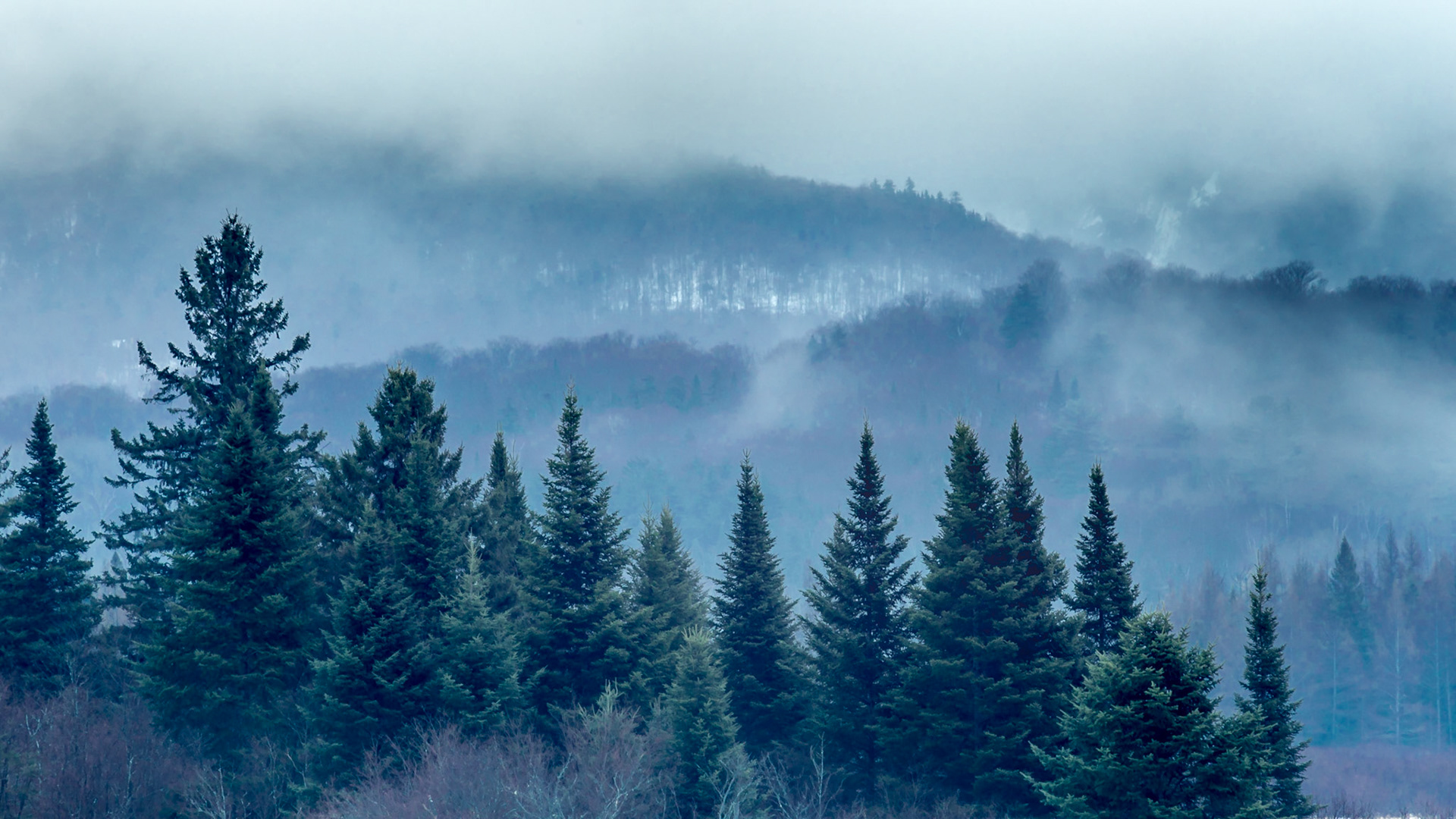 Fog over the mountains