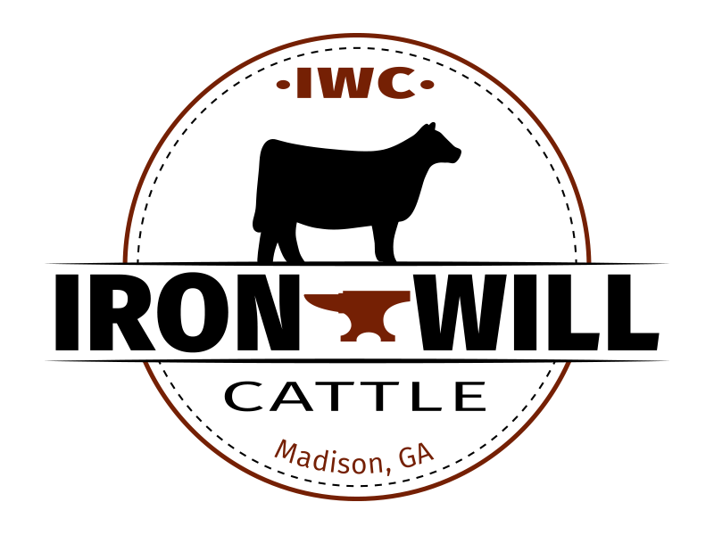 Logo design