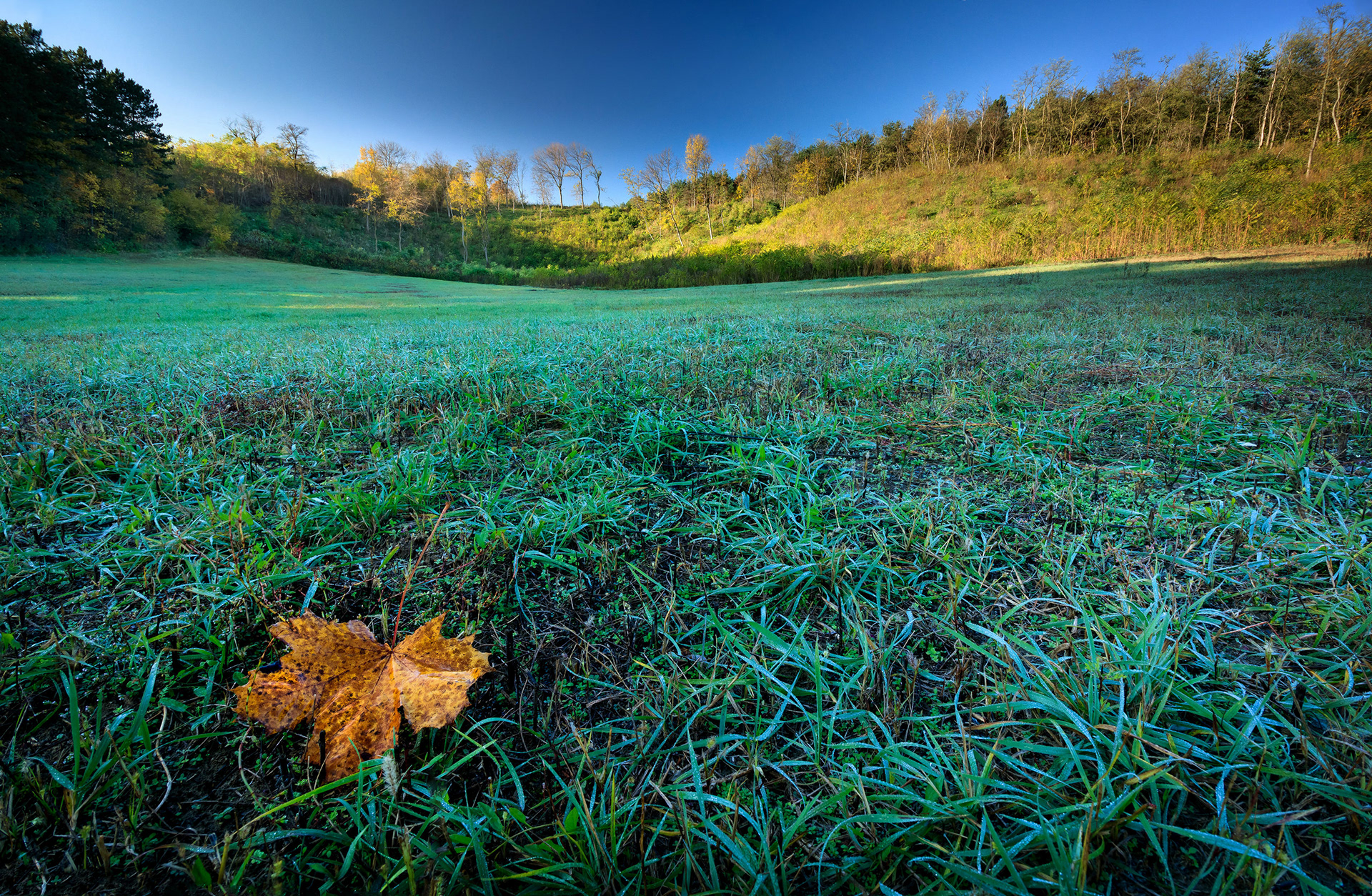 2017 - Sokoro hills, NW Hungary
