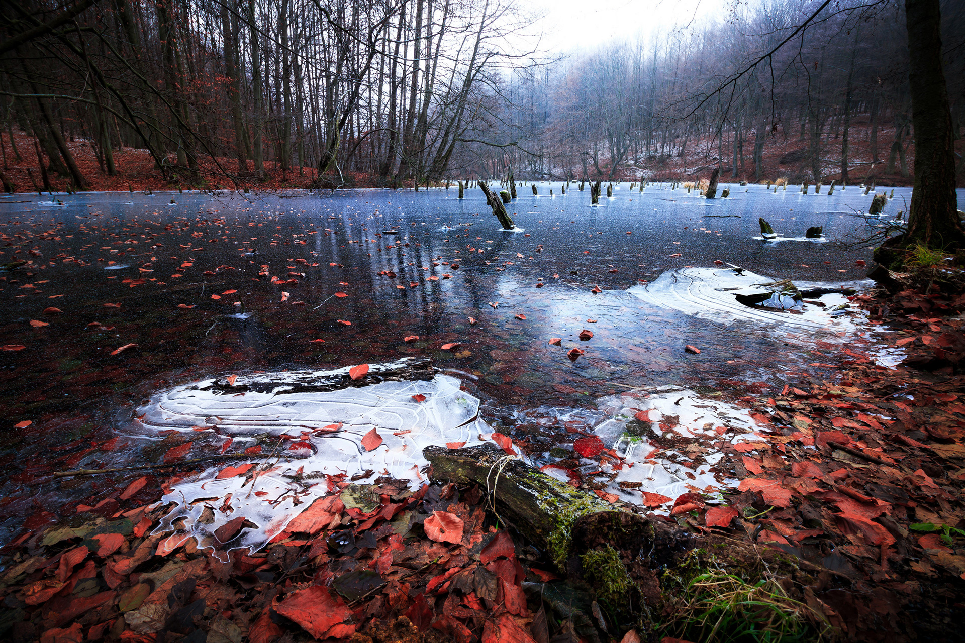 2017 - Bakony - W Hungary