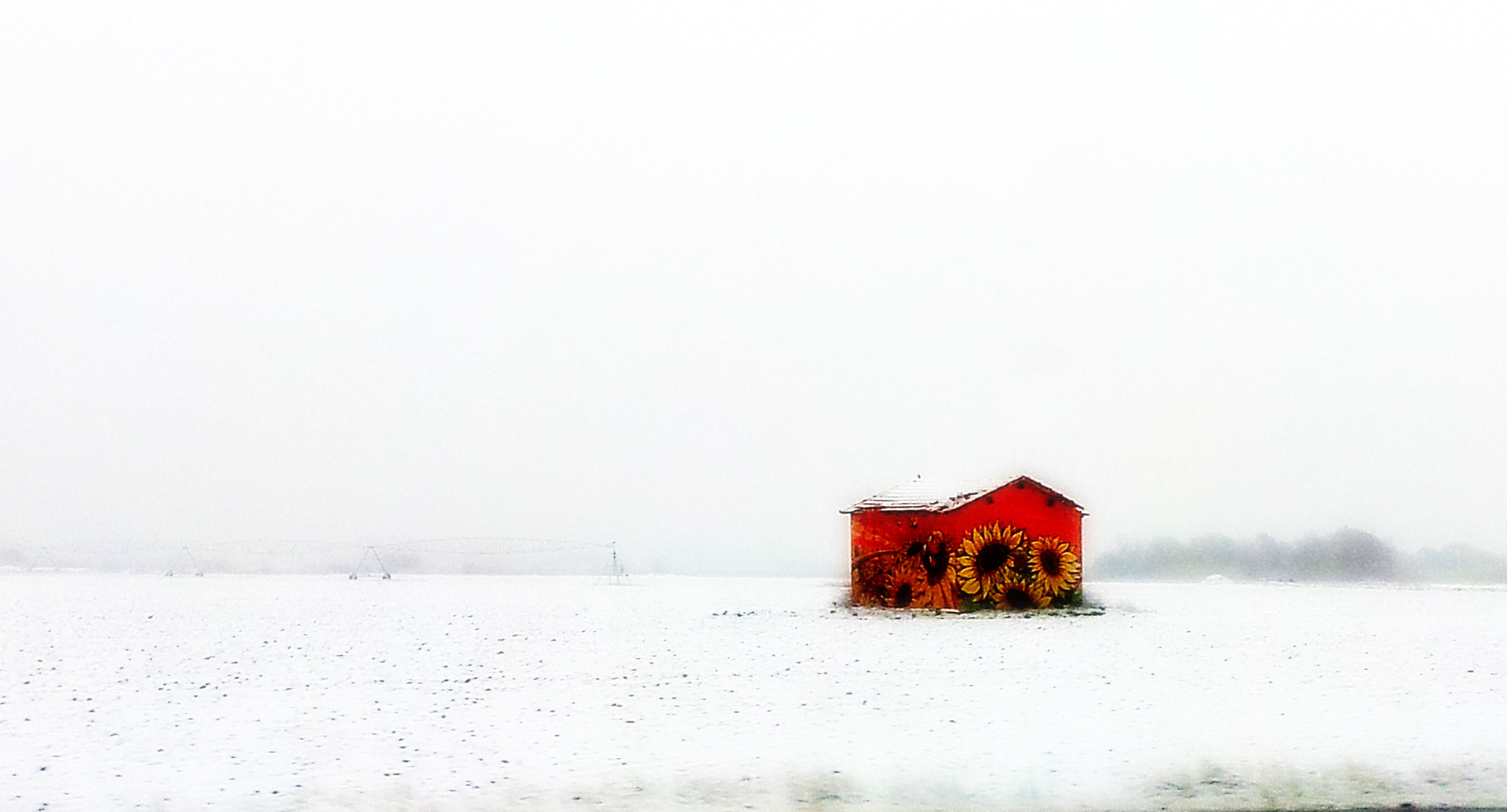 Hiver dans l'Hérault