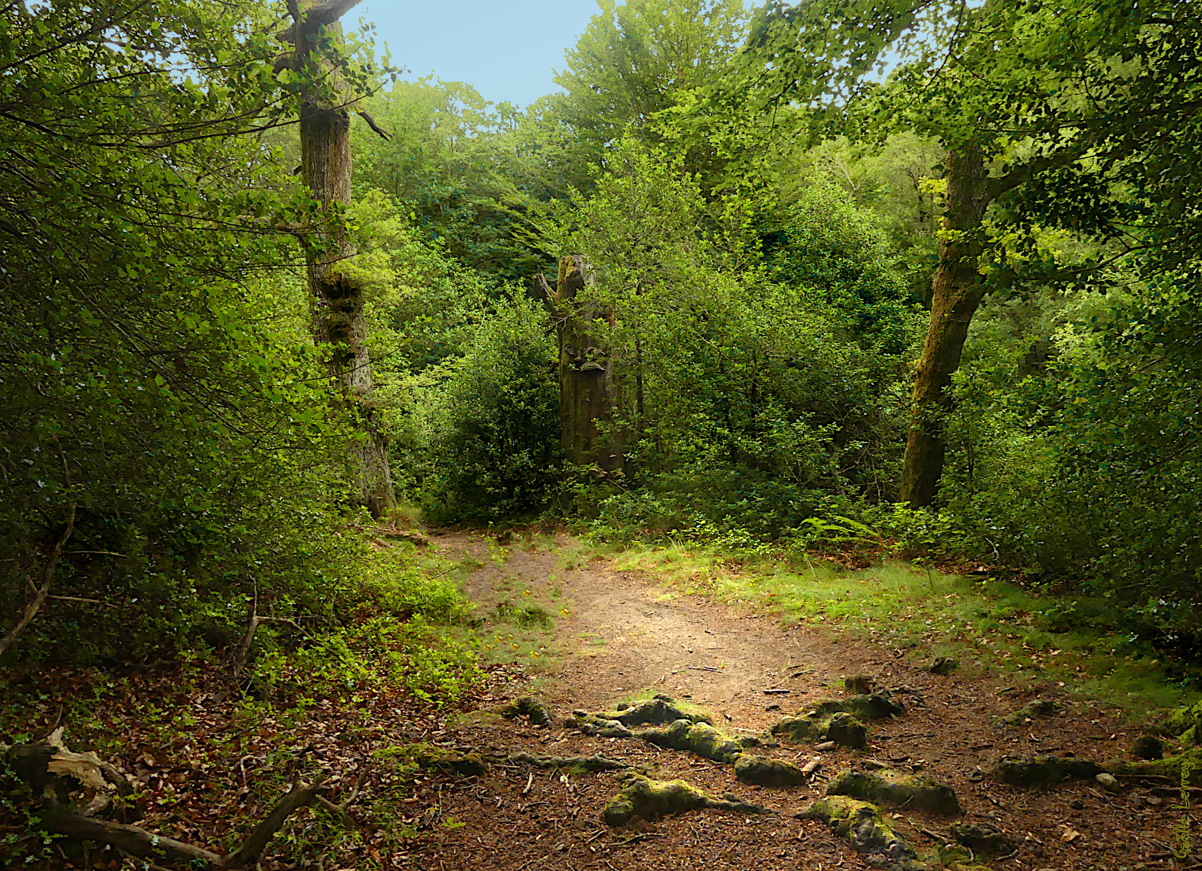 Mystère en Montagne Noire