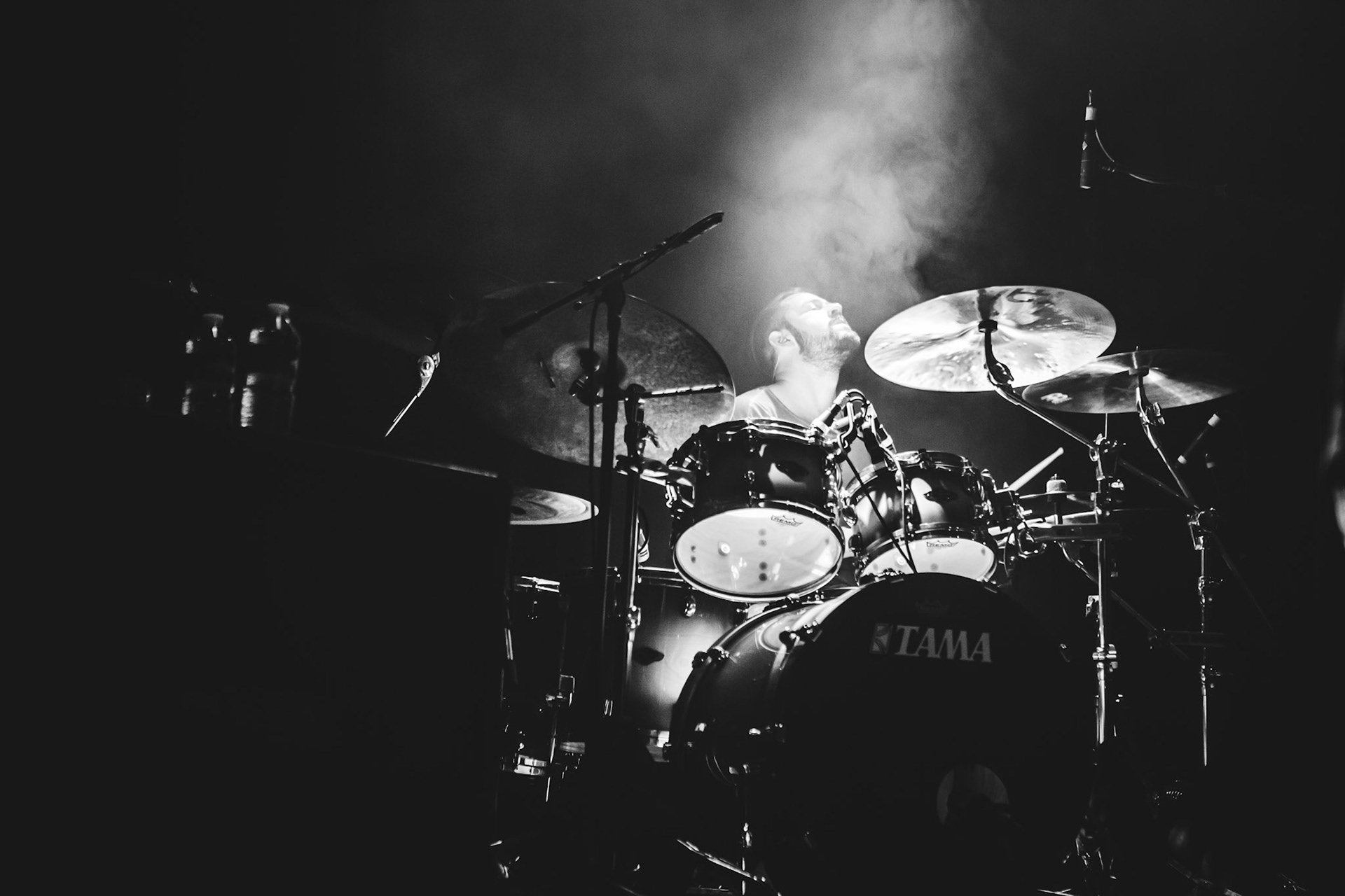 Animals As Leaders