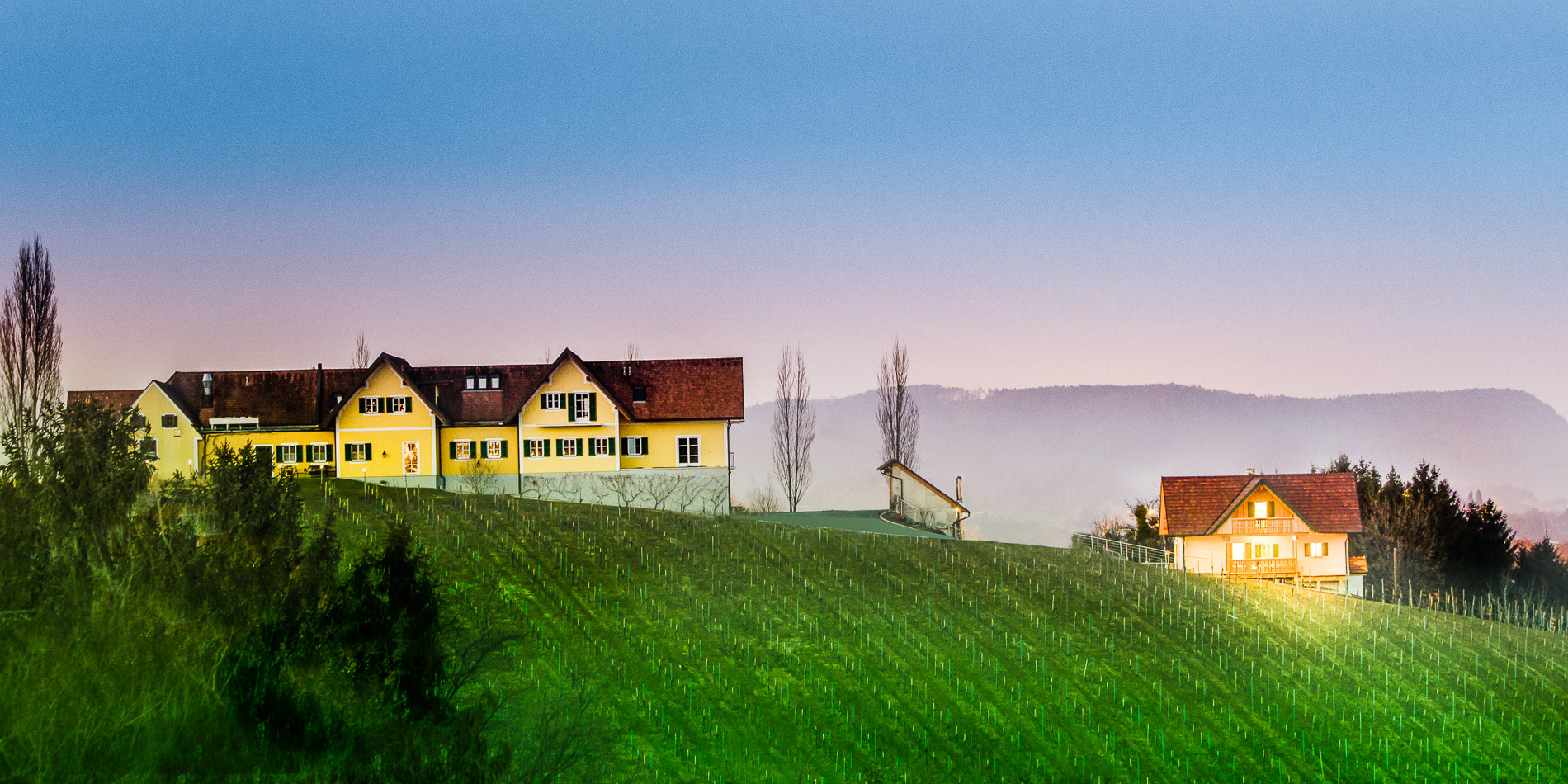 Weingut | Pichler Schober