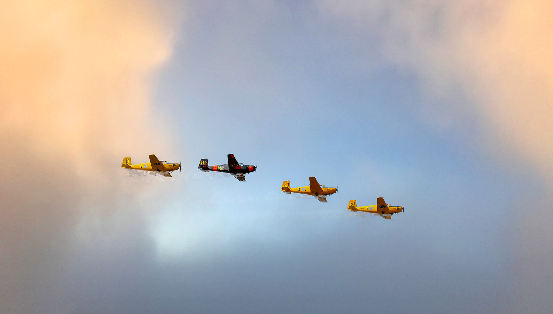 Flyguppvisning 2018