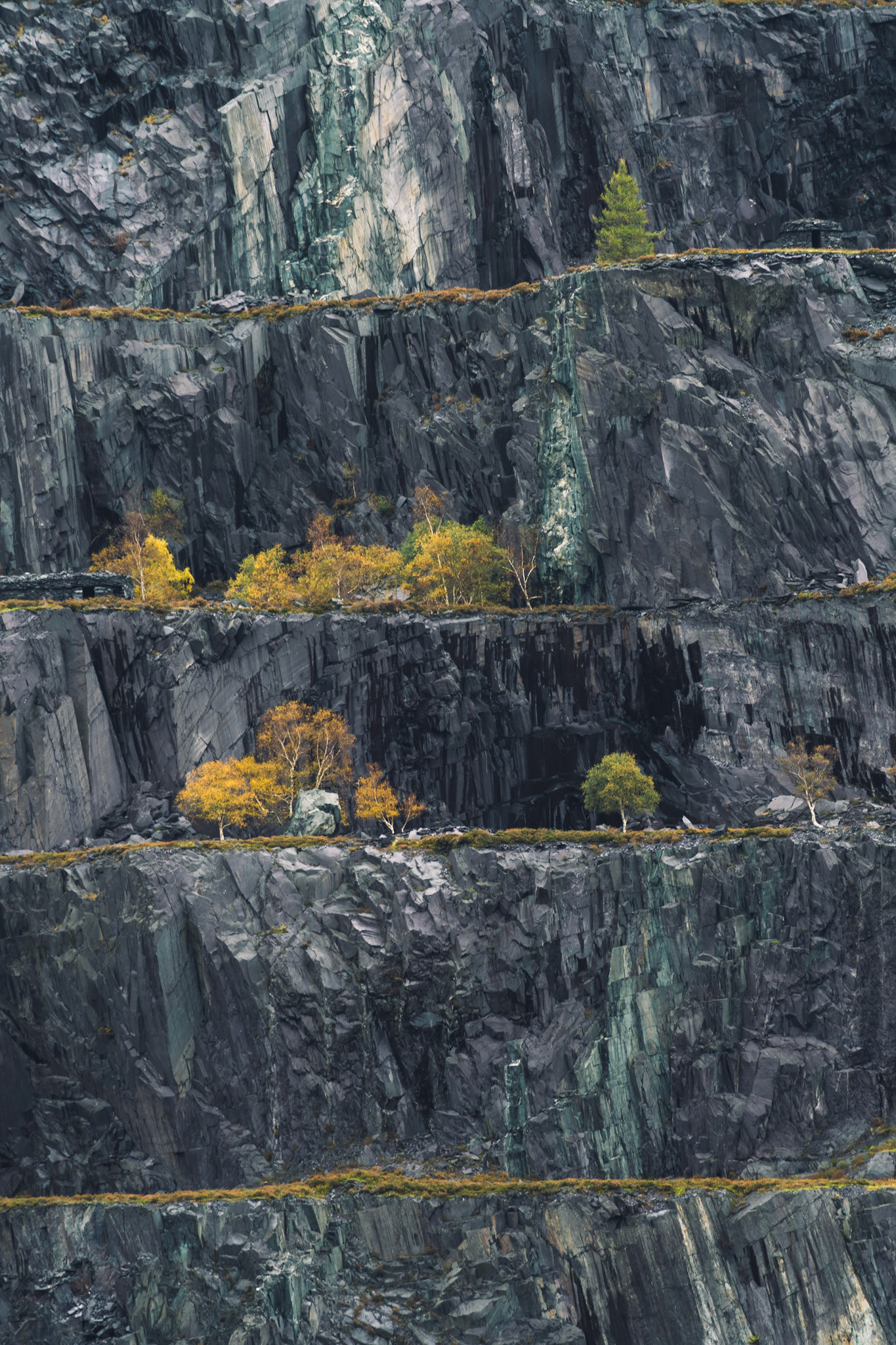 Dinorwic Pattern