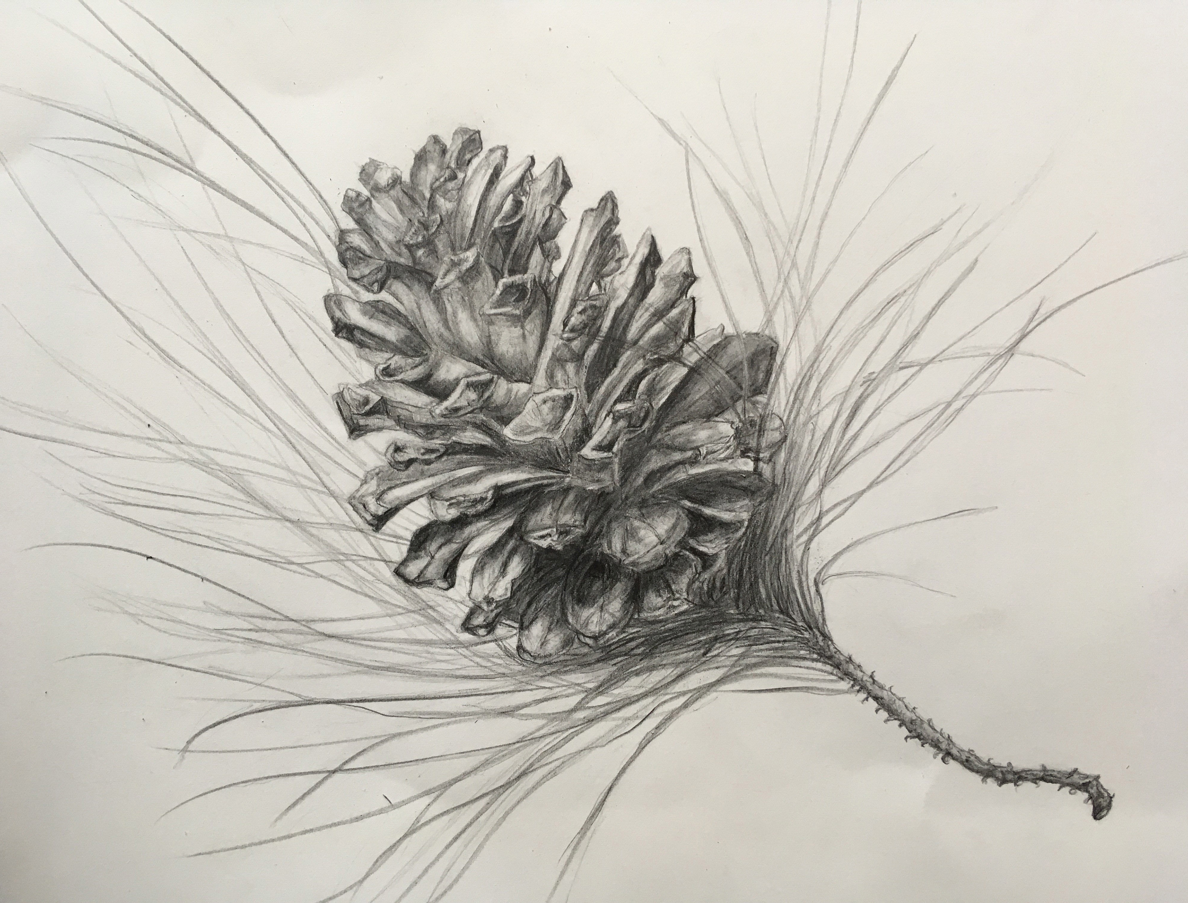 Yael Leah - Certificate IV in Visual Arts