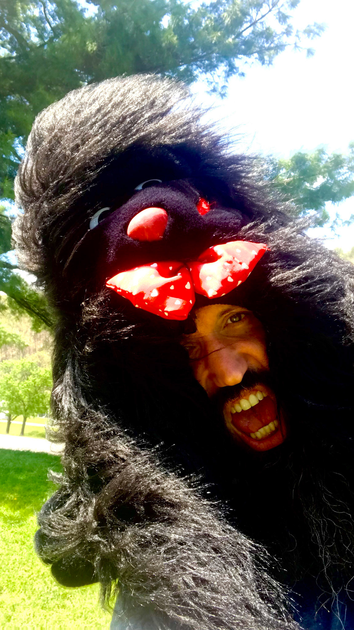The gorilla in Virginia.