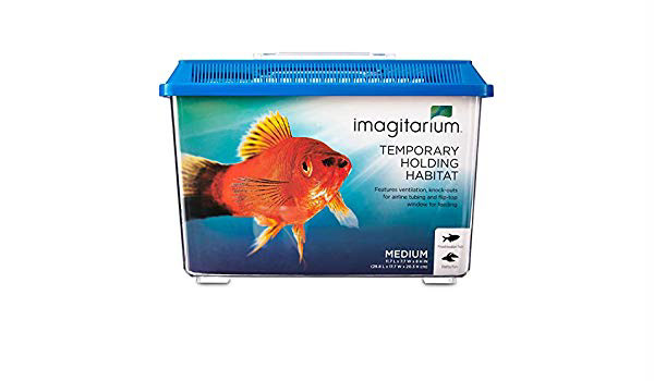 Brand Imagination Petco Private Brand Imagitarium