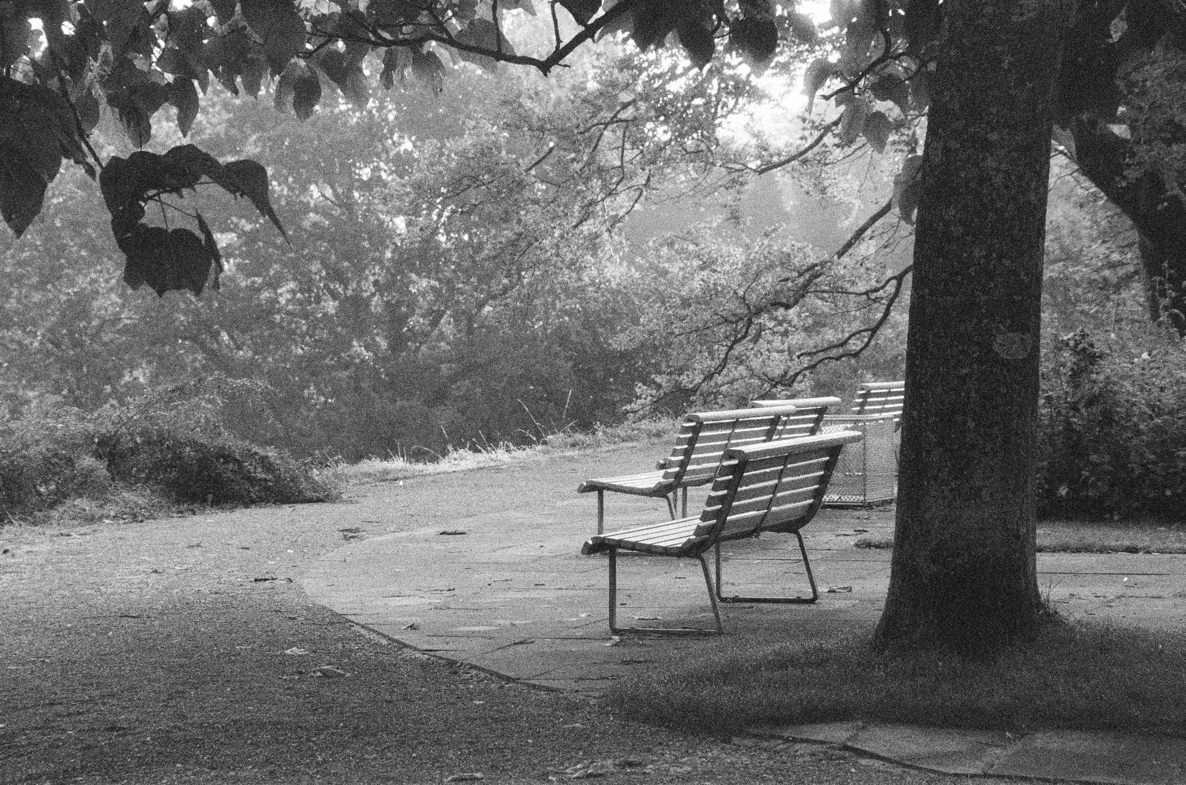 Ilford Delta 3200