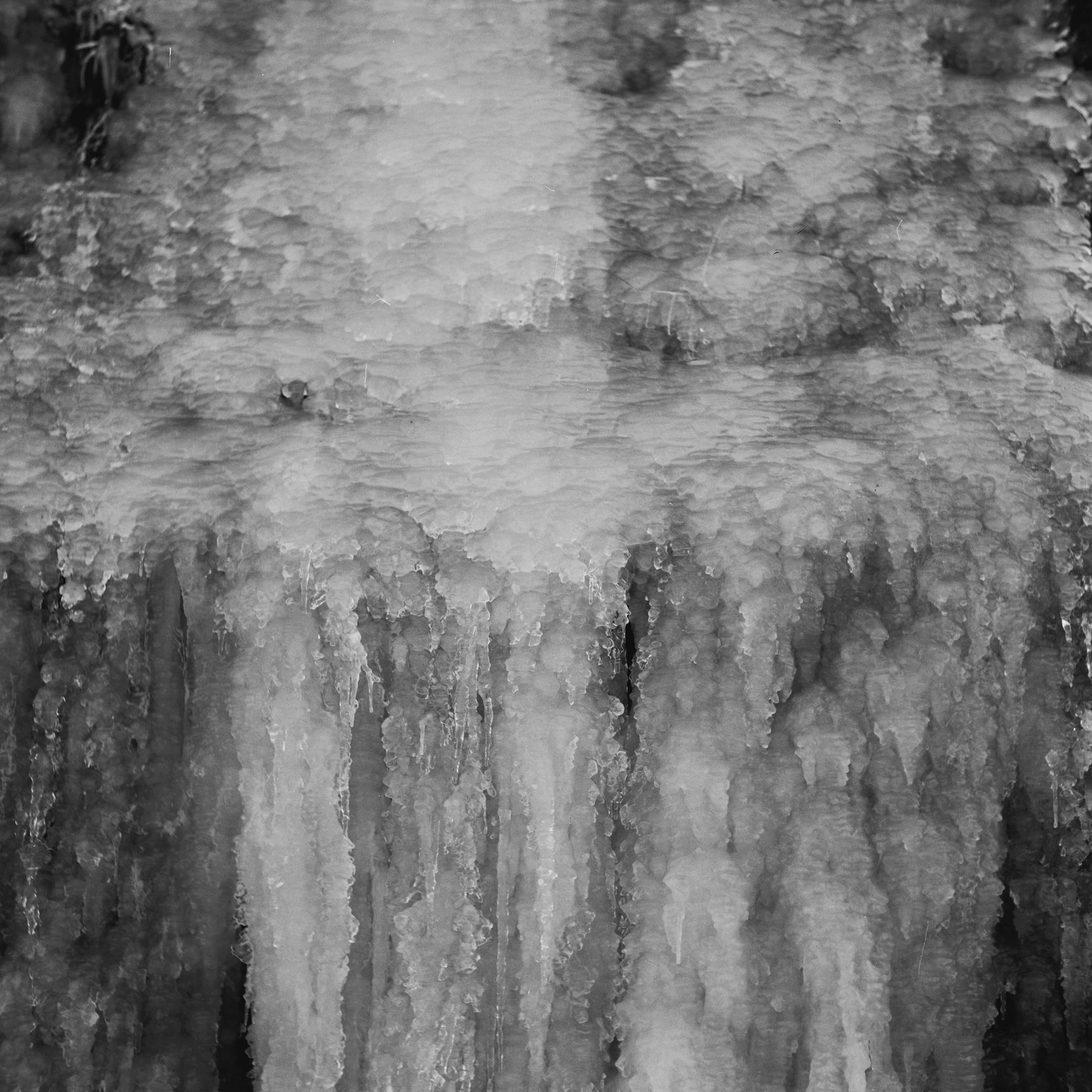 Mittelformat, Ilford Delta 100
