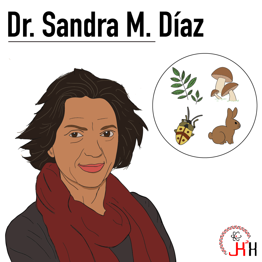 JKX honor the outstanding work of Dr. Sandra M. Díaz, an ecologist from Argentina who is changing how we view biodiversity (the variety of wildlife, plants, and other lifeforms in a particular ecosystem). Dr. Díaz's work consisted of understanding how CO2 levels impact particular plants by examining the effects on the microorganisms within the soil. Her results provided insight on how soil organisms compete with plants for available nutrients and the impact on plant growth. This type of analysis provided a more global view on the impact of CO2 on our ecosystem which would be difficult to study by only examining the individual plant. Dr. Díaz work is widely recognized in the ecology field and she is one of the most cited environmental scientists. She is the leader of IPBES, an intergovernmental organization who assess the state of biodiversity in order to improve policy. Thank you Dr. Díaz for your amazing work and your efforts to improve the world around us.
