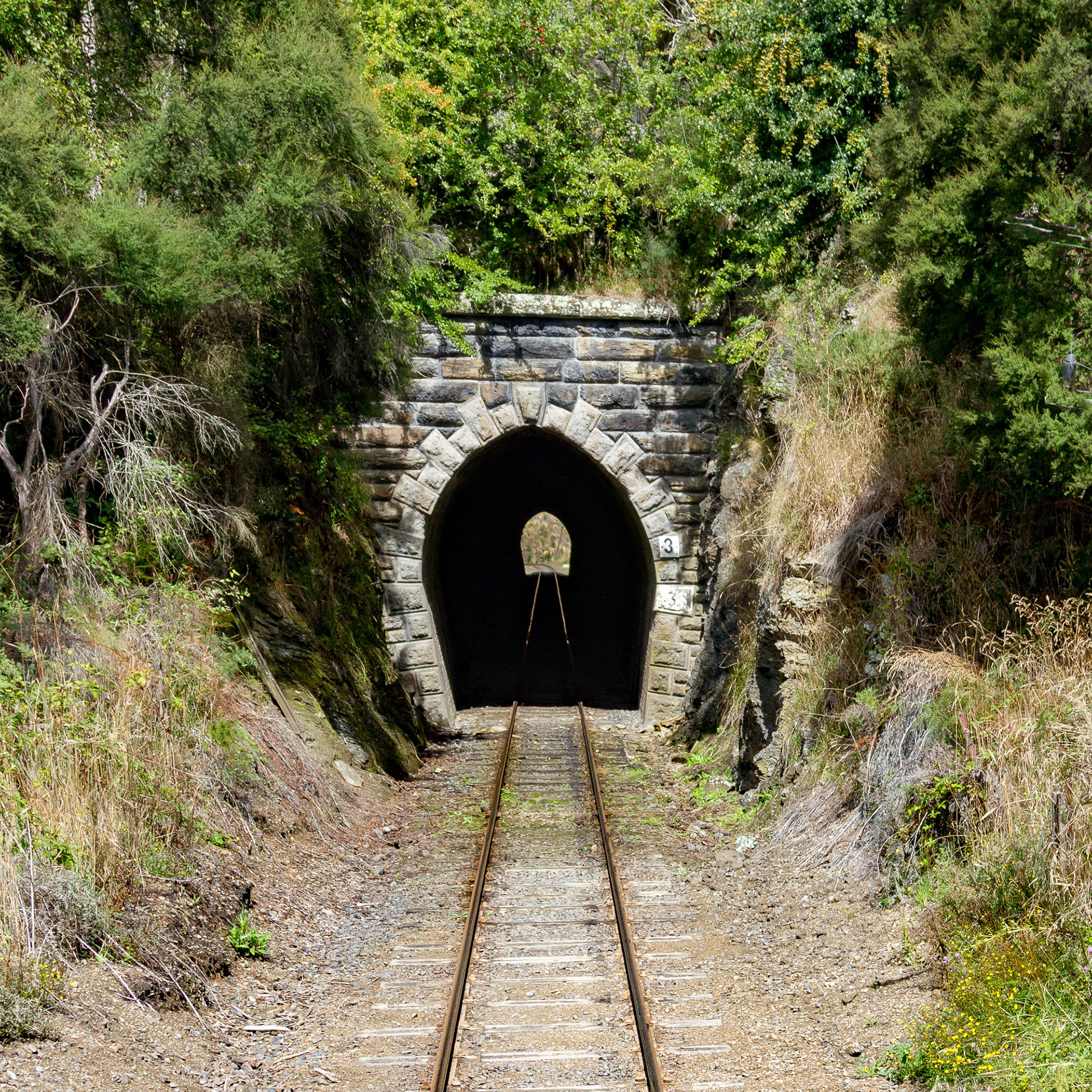 Taieri Gorge Railway