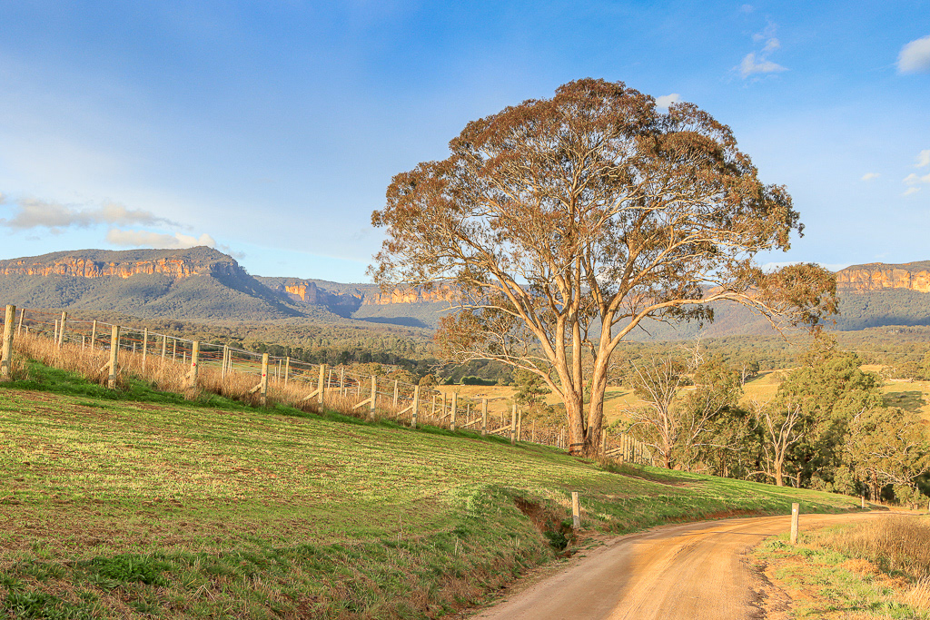 Megalong Valley near Dryridge Estate