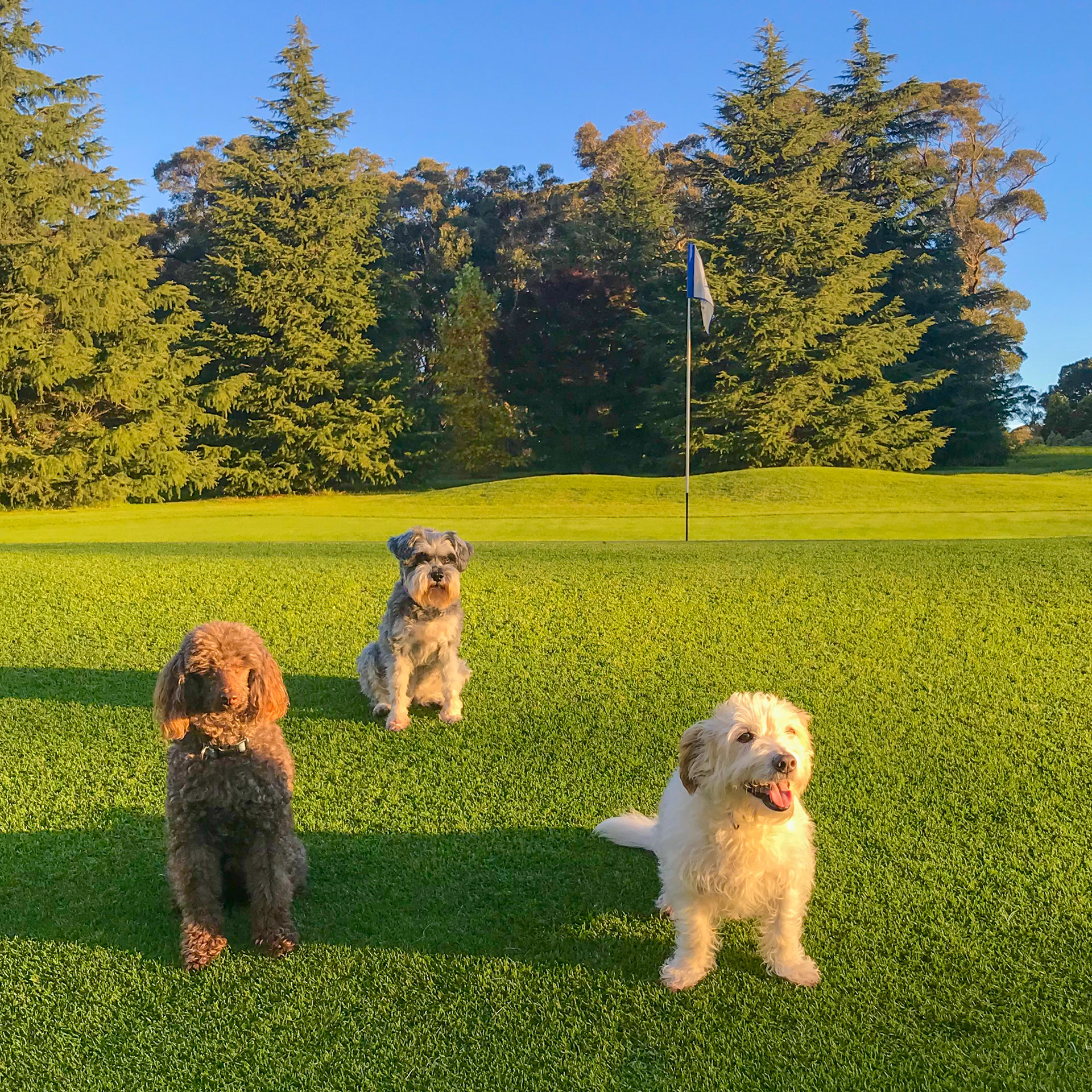 Charlie, Audrey and Jack