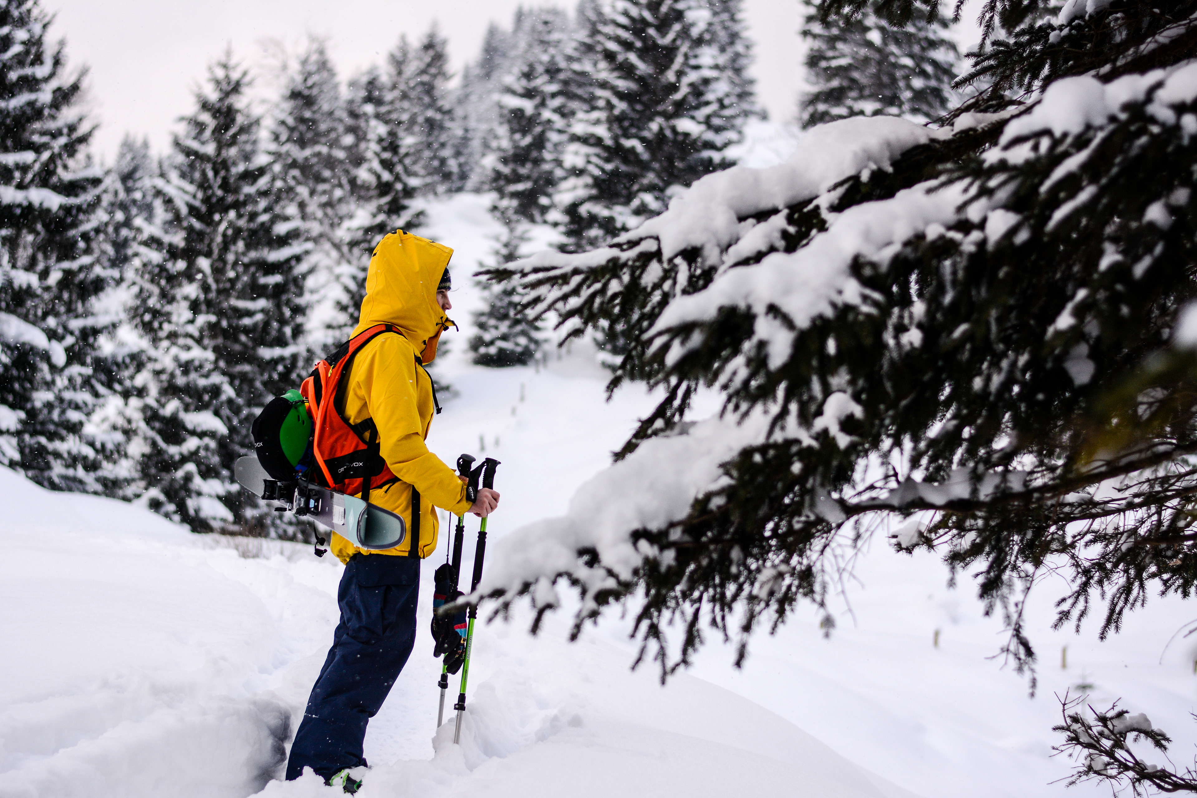 Maxi in Nature Marinus Veit 2018