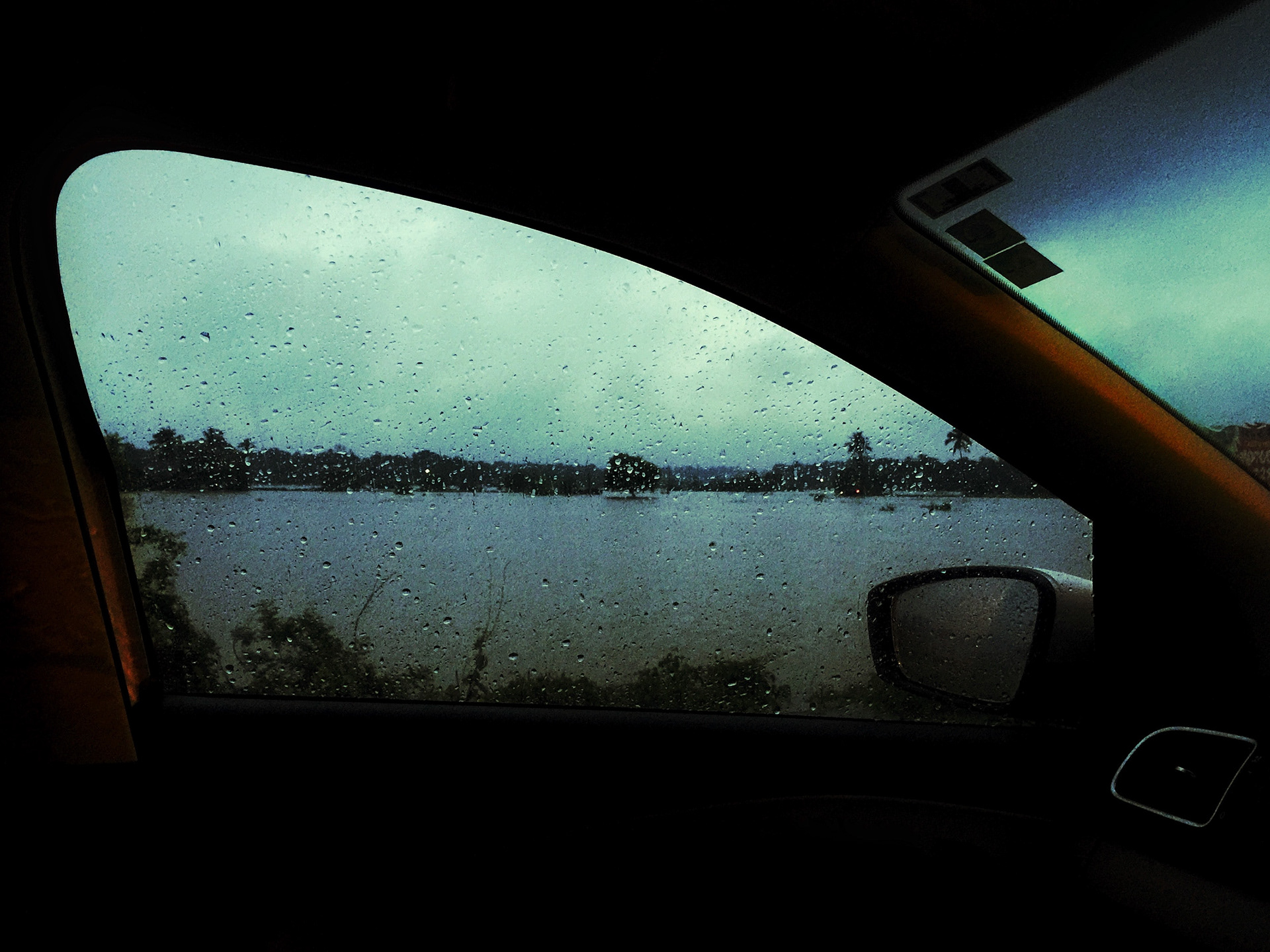 Wet Field. Goa, 2016