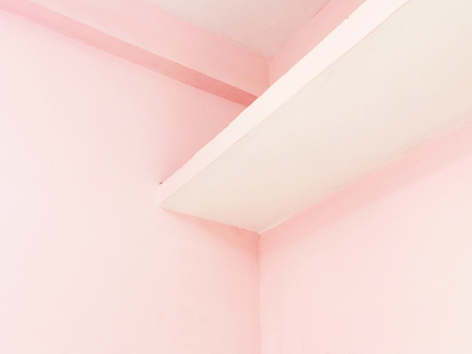 Pink wall. Mangalore, 2016