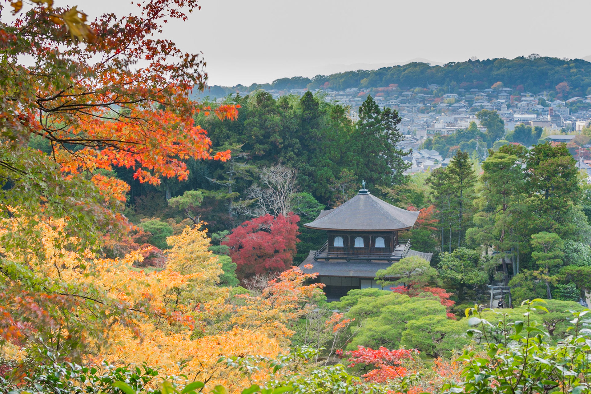 Kyoto depuis le Ginkaku-Ji