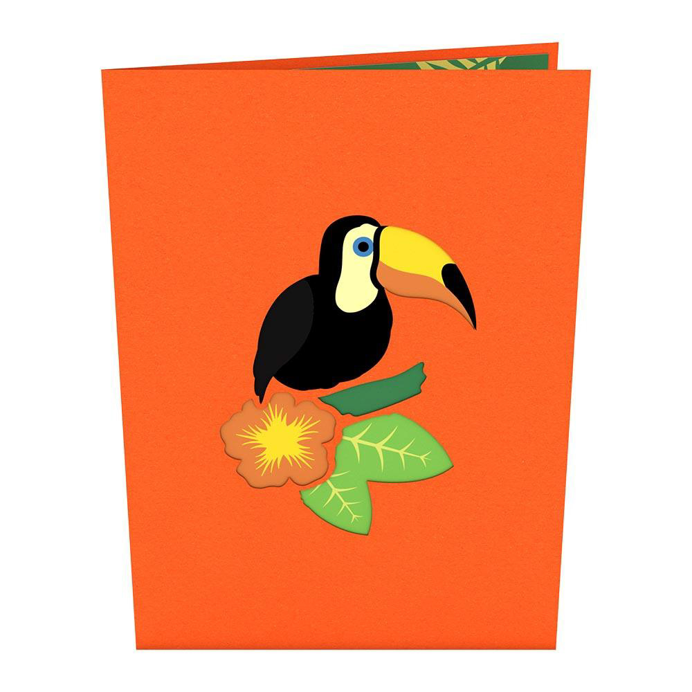 Toucan
