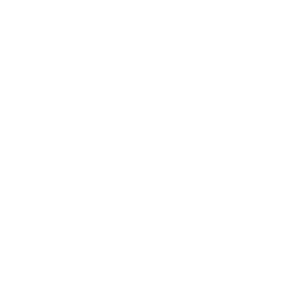 Joel Puik