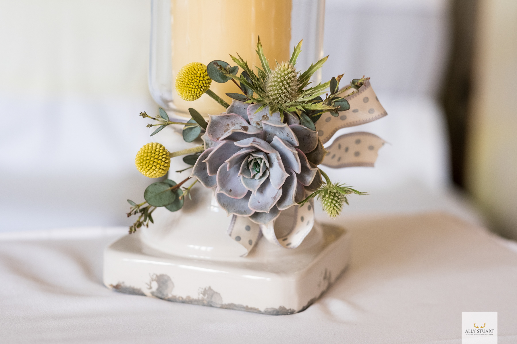 Ally Stuart Photography