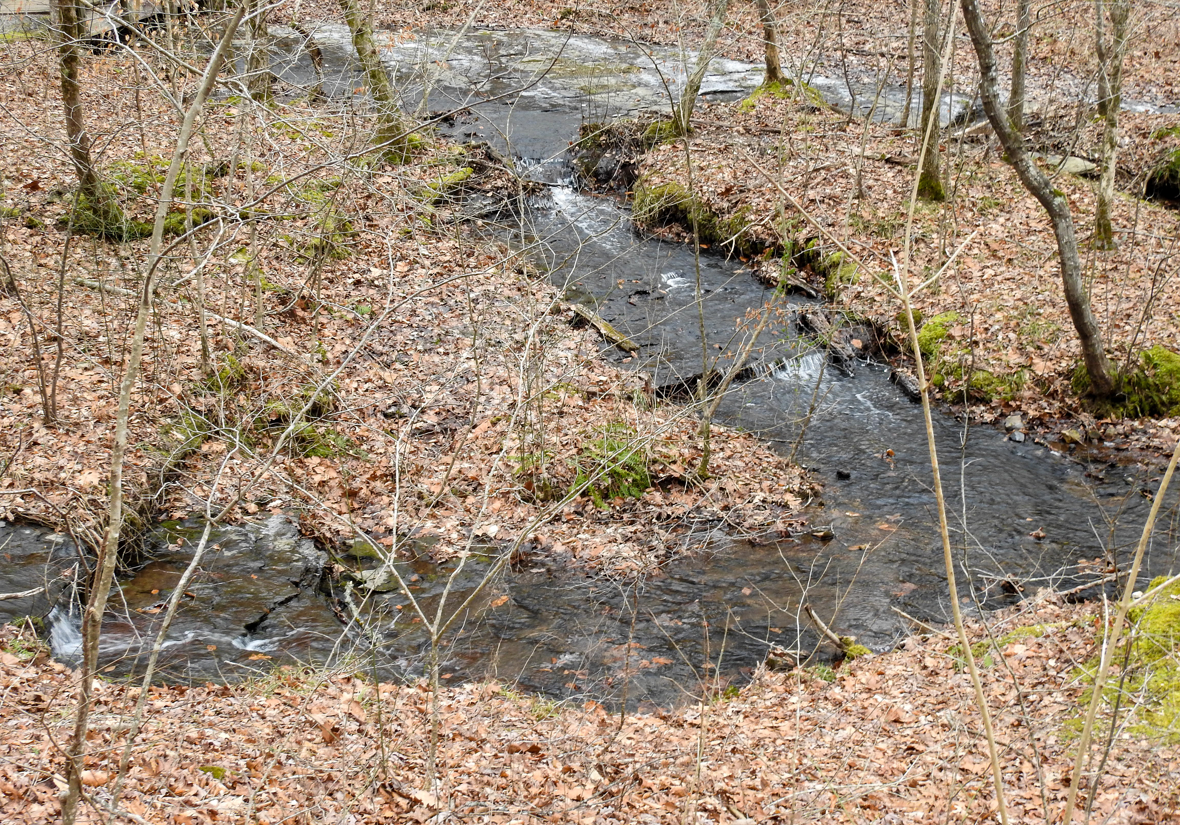 Fall Hollow