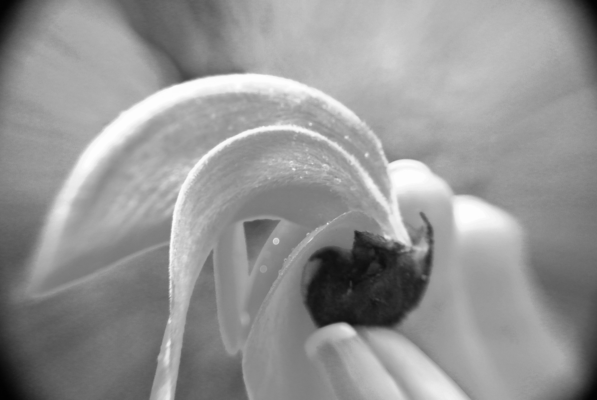 Unavailable | © All rights reserved