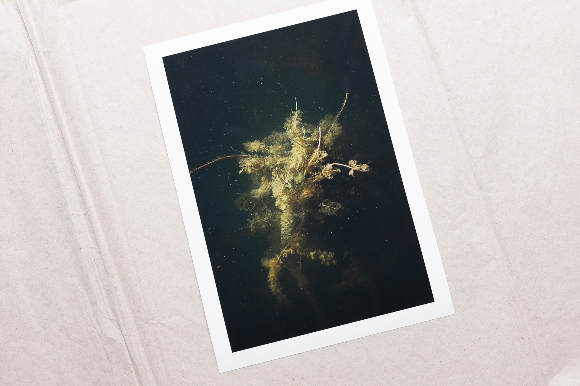 20x30 (25€)