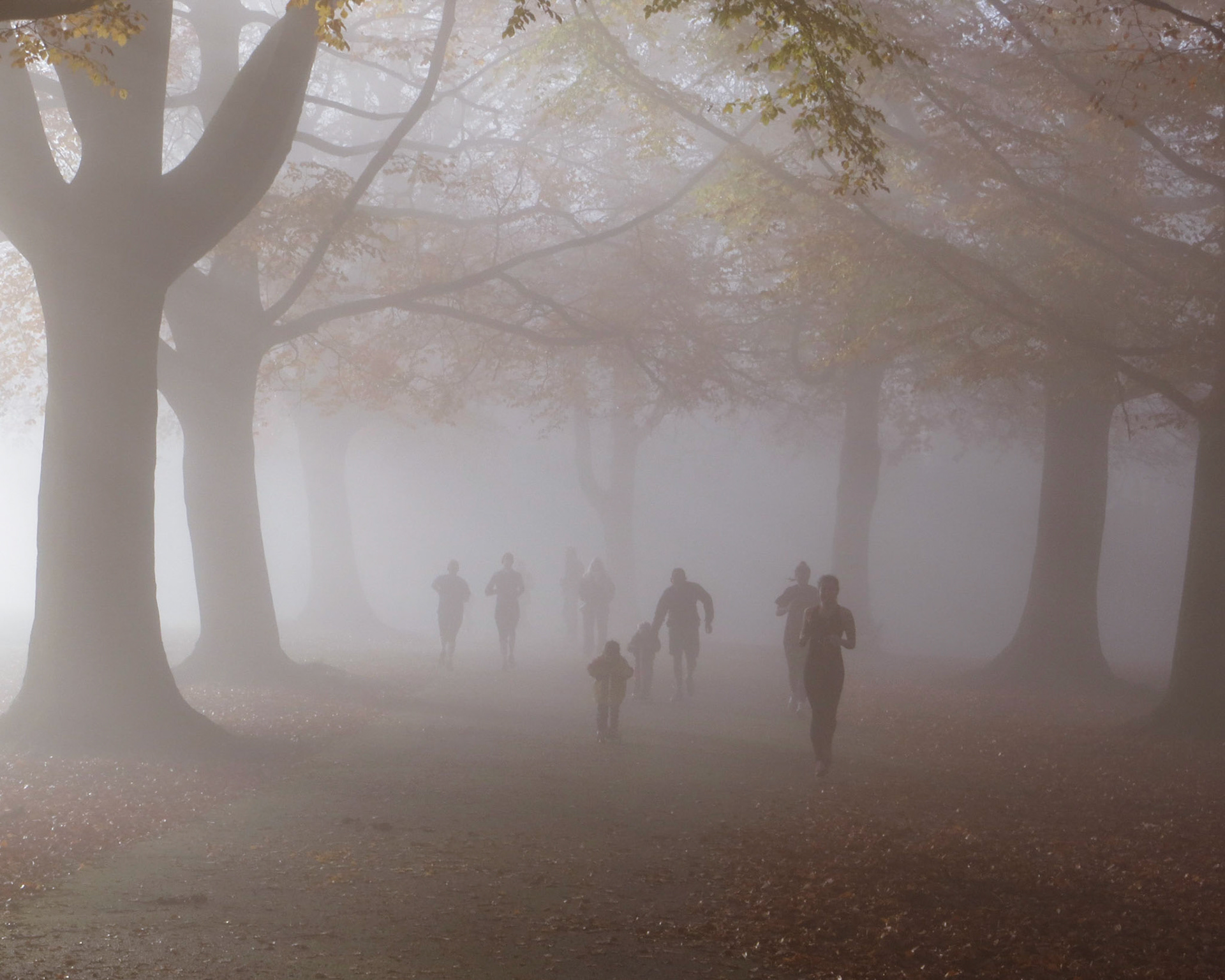 Misty on the downs. Clifton