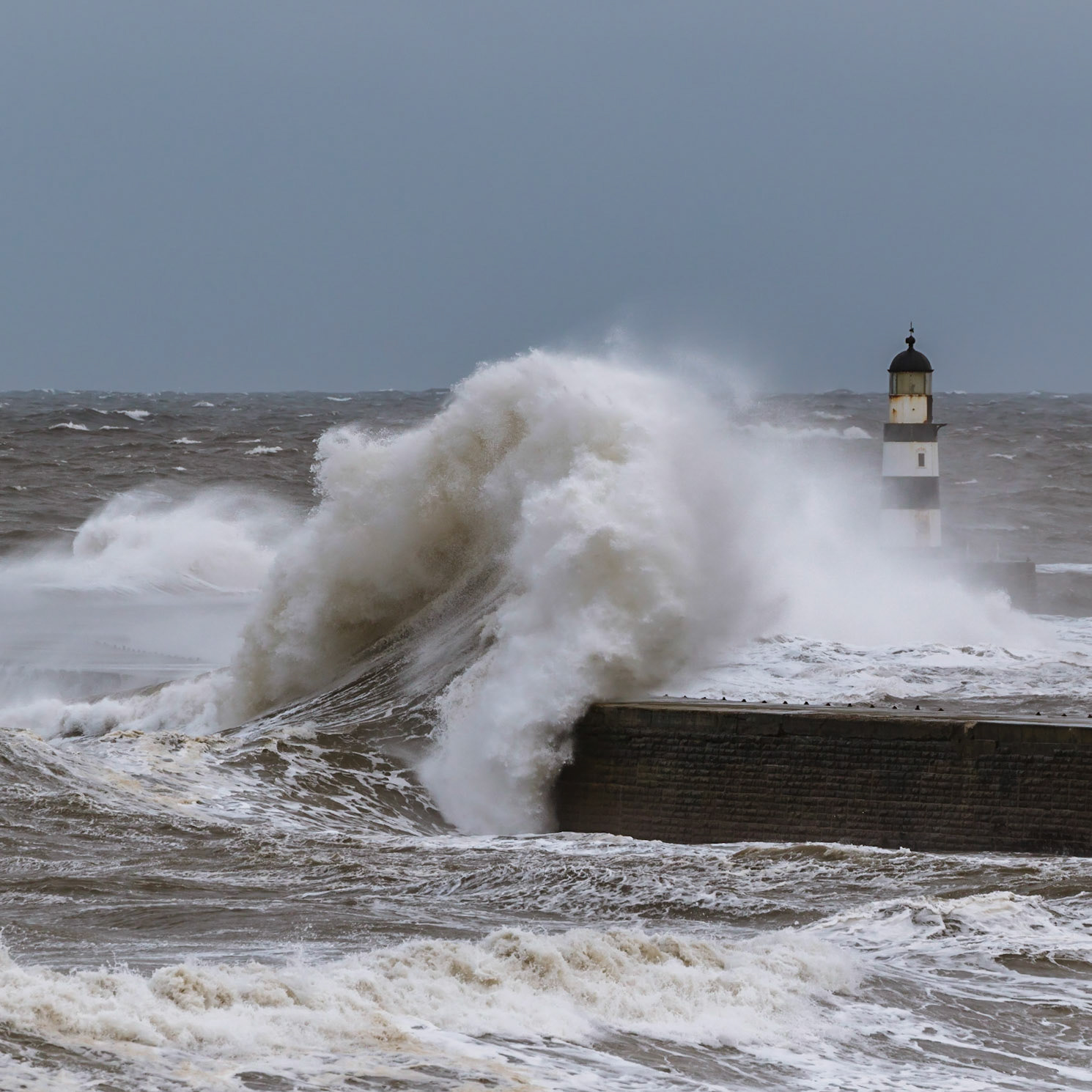 Aetos. Eagle of the gods