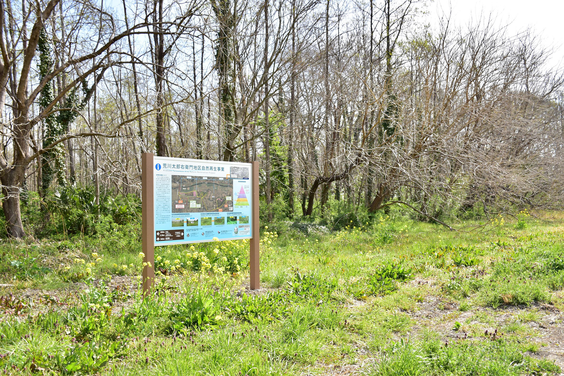 株式会社美装 全国事例写真 荒川太郎右衛門地区自然再生事業