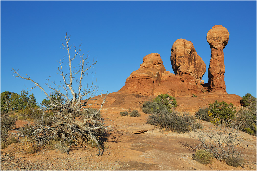 Arches National Park, Utah