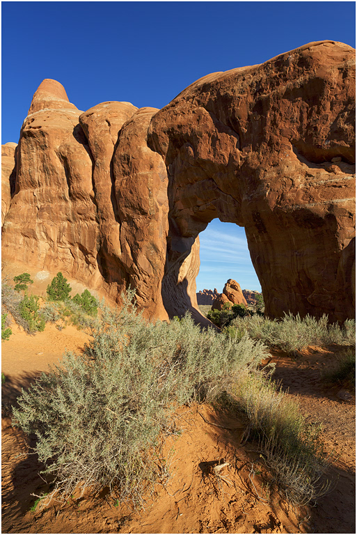 Pine Tree Arch, Arches National Park, Utah