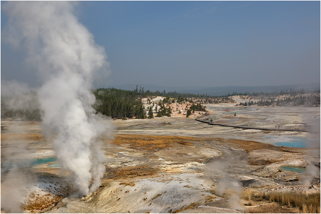 Ledge Geyser, Norris Basin, Yellowstone