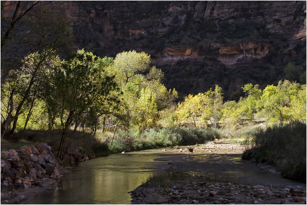 Zion National Park, Utah